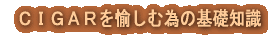 ^CgC[W